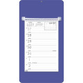 Triumph® Calendars Weekly Memo Calendar