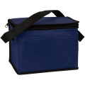 6 Pack Non-Woven Lunch Cooler Bag