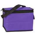 6 Pack Non-Woven Lunch Cooler Bag