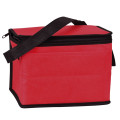 6 Pack Non-Woven Lunch Cooler Bag