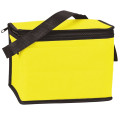 6 Pack Non-Woven Lunch Cooler Bag