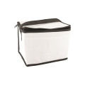 6 Pack Non-Woven Lunch Cooler Bag