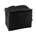 6 Pack Non-Woven Lunch Cooler Bag
