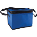6 Pack Non-Woven Lunch Cooler Bag