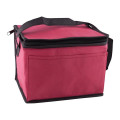 6 Pack Non-Woven Lunch Cooler Bag