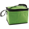 6 Pack Non-Woven Lunch Cooler Bag