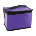 6 Pack Non-Woven Lunch Cooler Bag
