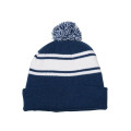Knit Beanie With PomPom