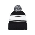 Knit Beanie With PomPom