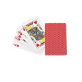 Playing Cards In Case