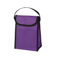 Non-Woven Lunch Cooler Bag