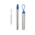 Festival Telescopic Reusable Drinking Straw Kit