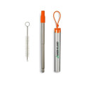 Festival Telescopic Reusable Drinking Straw Kit