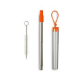 Festival Telescopic Reusable Drinking Straw Kit