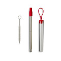 Festival Telescopic Reusable Drinking Straw Kit
