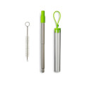 Festival Telescopic Reusable Drinking Straw Kit