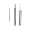 Festival Telescopic Reusable Drinking Straw Kit