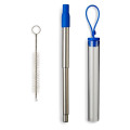 Festival Telescopic Reusable Drinking Straw Kit