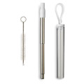 Festival Telescopic Reusable Drinking Straw Kit