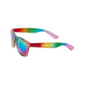 Rainbow Pride Sunglasses.