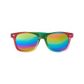 Rainbow Pride Sunglasses.