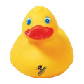 Medium Rubber Duck.