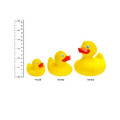 Medium Rubber Duck.