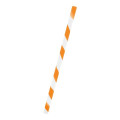 Joplin Tie-Dye Straw
