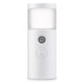 Portable Small Facial Mist Sprayer