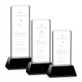 Vestige Award