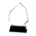 Warner Award - Black