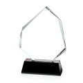 Warner Award - Black