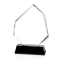 Warner Award - Black