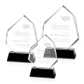 Warner Award - Black