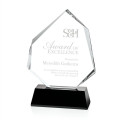 Warner Award - Black