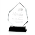 Warner Award - Black