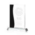 Landfield Award - Black