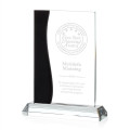 Landfield Award - Black