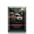 Ramona VividPrint™ Award
