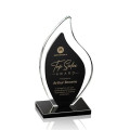 Flamingo Award - Black
