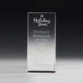 McKinley Tower Award