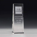 McKinley Tower Award