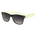Two-Tone Translucent Malibu Sunglasses