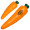 Carrot Stress Reliever