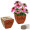 Bamboo Blossom Kit