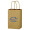 Kraft Paper Brown Shopping Bag - 5-1/4" x 8-1/4"