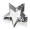 Slanted Star Award