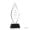 Crystal Radiance Award