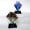 Bloom Award