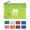 Translucent Zippered Coin Pouch